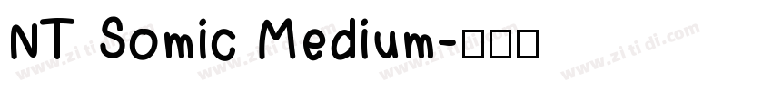 NT Somic Medium字体转换